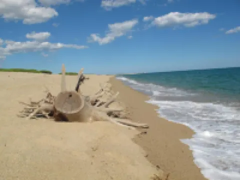 โรงแรมบายามารีน่า โรงแรมในOrosei