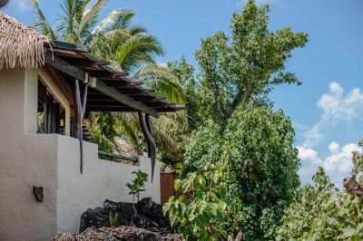 庭 パシフィック リゾート アイツタキの写真