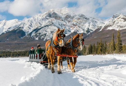 재스퍼 피라미드 레이크 리조트 객실 내부