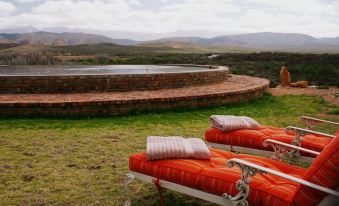Rietfontein Ostrich Palace