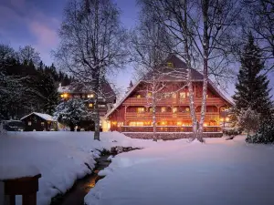 Boutique Hotel Mühle Schluchsee