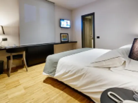 Smart Hotel Hotels in Carpi