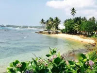 라라스 플레이스