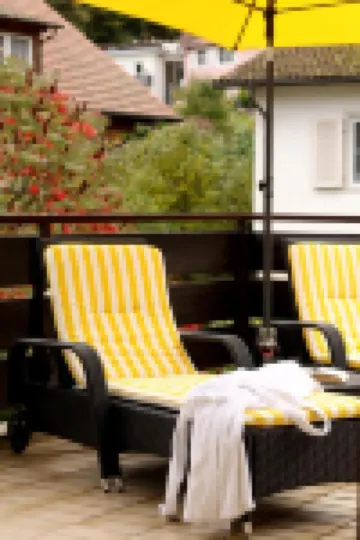 百靈達特勞博酒店 巴登韋勒酒店