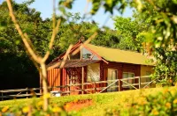 Mulberry Lane Hotels near Mariepskop