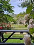 Lake Dunstan Motel - Mountain View