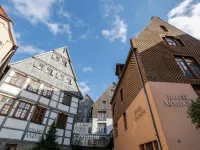 Hotel Arminius Hotels in Lippe