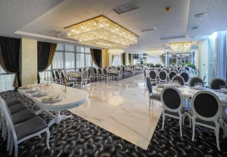 Hotel Anastasia Отели в г. Avrig