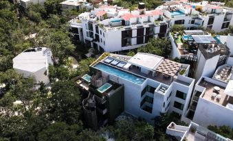 Azalea by Zamá Homes