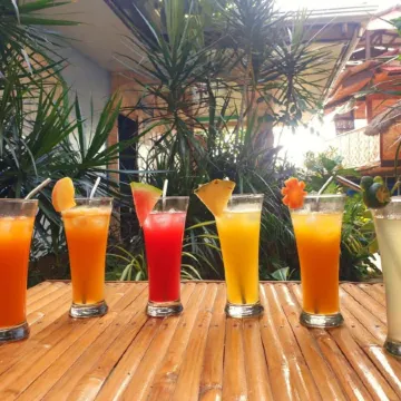 Villa Atlas Guesthouse