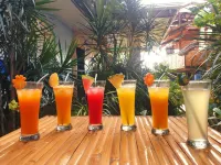 Villa Atlas Guesthouse