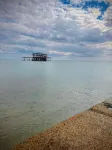 The Brighton Hotel - Pet friendly