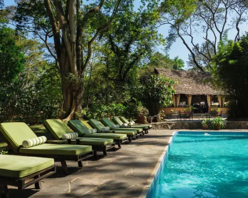 Rivertrees Country Inn Hotels in Arumeru