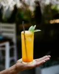 特林科馬裏的首都酒店