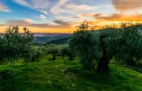 Gredos Loft Hotels in Navarredonda de Gredos