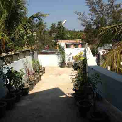 Surya Inn Hotel Exterior