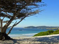 Briarwood Inn Hotels in Carmel-by-the-Sea
