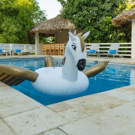Blue Paloma Bed & Breakfast