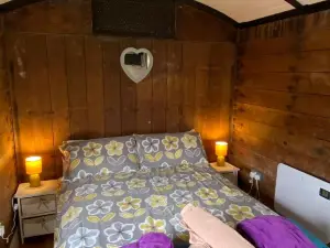 Luxury Cosy Carriage with Electric Private Hot Tub