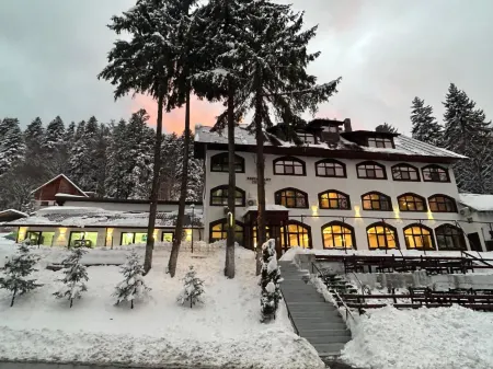 Cerbul Chalét Accommodation & Wellness Отели в г. Rasnov