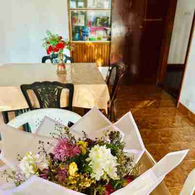 Lazy Bear Best Hostel in Kandy Dining/Meeting Rooms