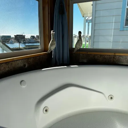Westport Marina Cottages