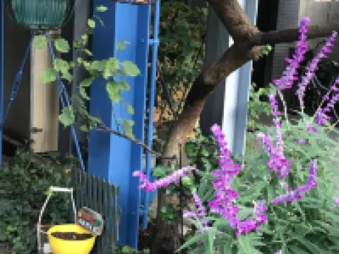 薩迪之家 鄰近生田（神奈川）的酒店