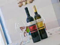 Hotel lo Squalo Hotels in Grottammare