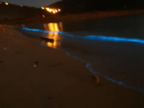 Matsu Star Yang Homestay 馬祖のホテル