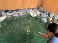 Hatago Nagomi Hotels near Urami Waterfall