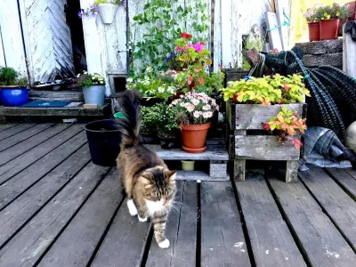 Tvedestrand Fjordhotell - Unike Hoteller  otelleri