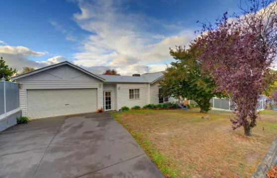 波希米亞藝術旅館