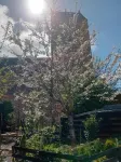 B&B De Zwerver Hotels in 