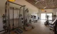 Les Palétuviers - Gym