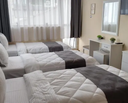 Victoria Family Hotel Hotels in Balchik