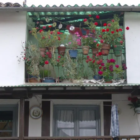 Hotel Rural Carlos I