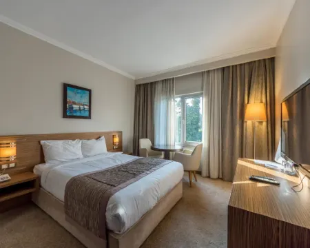 ホテル アルミナ パーク デュズジェのホテル