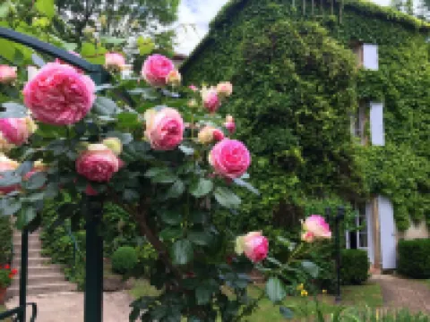 Le Moulin de La Beune Hotels in Les Eyzies-De-Tayac-Sireuil