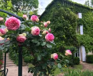 Le Moulin de La Beune