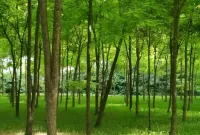 B&B Villa Elisa Hotel a Oderzo