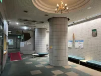 Heidi Guest House Hotels in Yuzawa