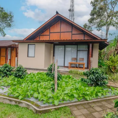 Kampung Bingo Glamping & Resto by Great Bali Villas Hotels near Bedugul