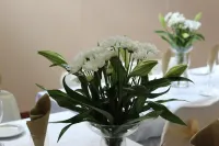トラベル ロッジ - 朝食