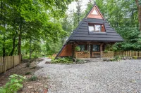 Mountain Shelter CH41