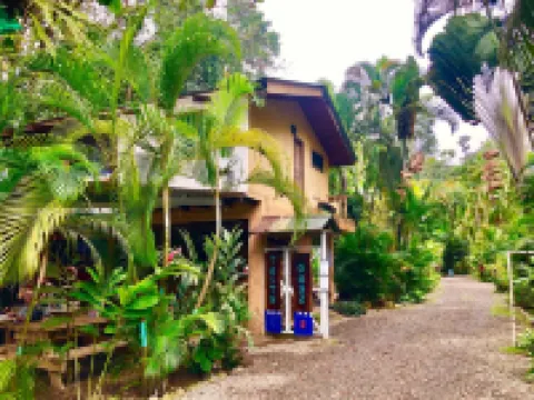 Tasty Dayz Hostel Hotels in Cocles