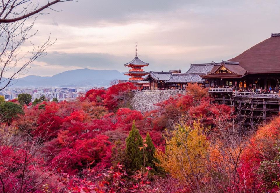 4. 스티치 호텔 교..