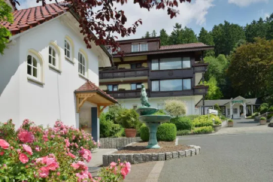 佐姆維根斯汀酒店