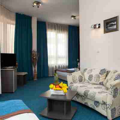 Family Hotel Opera - Former City Mark Hotel Rooms