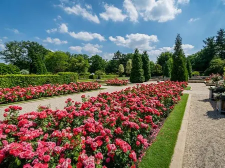Hotel de Maasparel Arcen