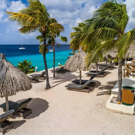 Buddy Dive Resort